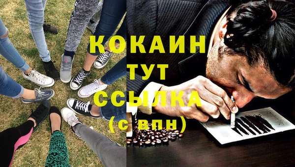 мдпв Абаза