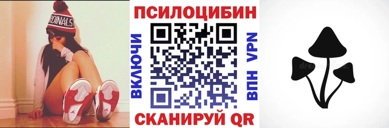 цена наркотик  Советский  Псилоцибиновые грибы Psilocybine cubensis 
