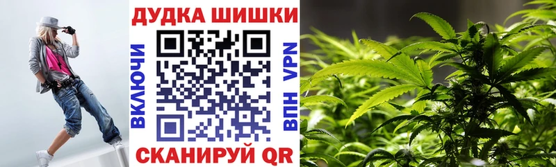 как найти   Советский  Канабис OG Kush 